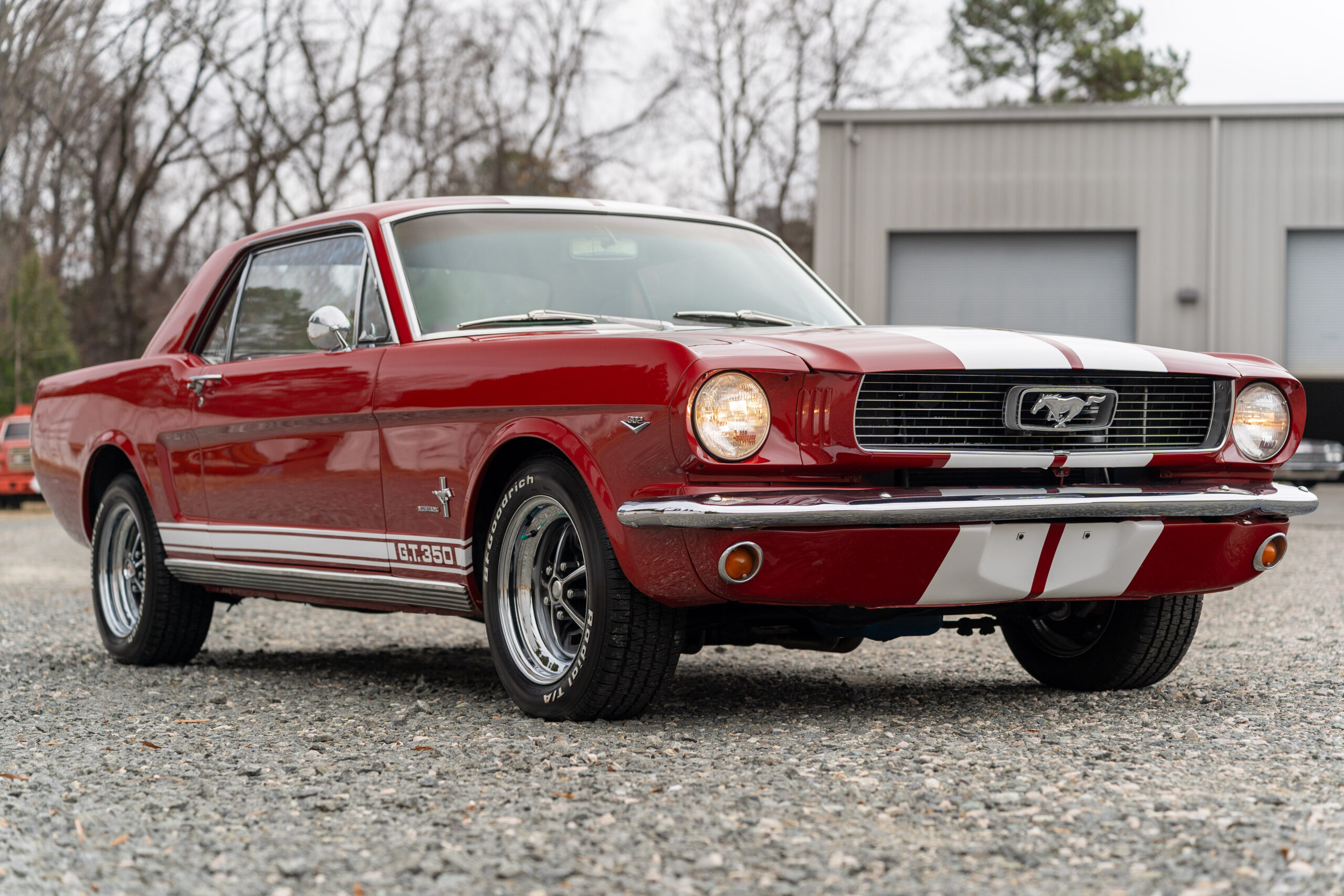 1966 Ford Mustang GT350 Tribute