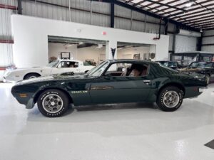 7GcmEOTyyT0ddI7a9pwnYUxeNXnV_l